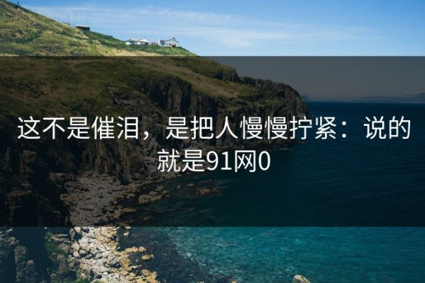 这不是催泪，是把人慢慢拧紧：说的就是91网0