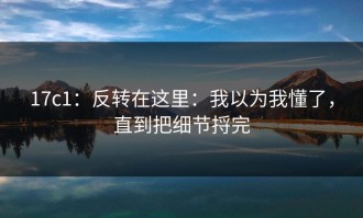 17c1：反转在这里：我以为我懂了，直到把细节捋完