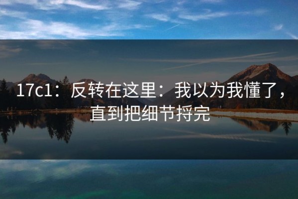 17c1：反转在这里：我以为我懂了，直到把细节捋完