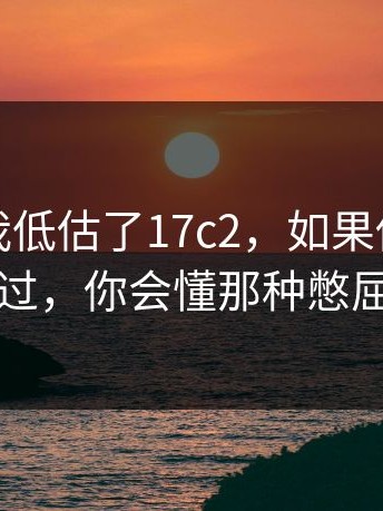 我承认我低估了17c2，如果你也经历过，你会懂那种憋屈
