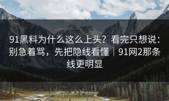 91黑料为什么这么上头？看完只想说：别急着骂，先把隐线看懂｜91网2那条线更明显