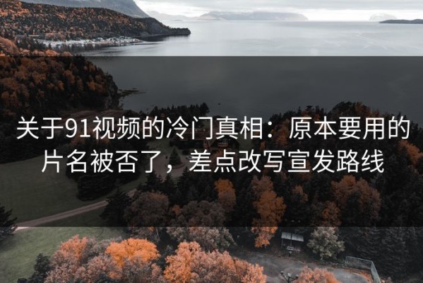 关于91视频的冷门真相：原本要用的片名被否了，差点改写宣发路线