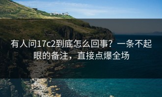 有人问17c2到底怎么回事？一条不起眼的备注，直接点爆全场