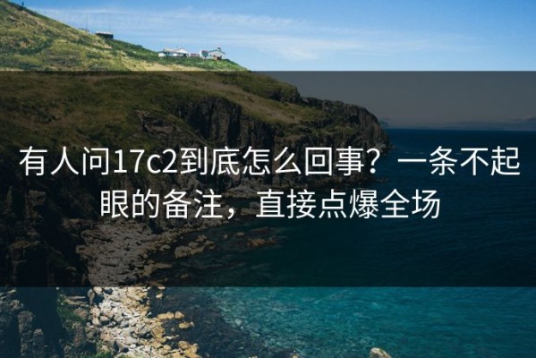 有人问17c2到底怎么回事？一条不起眼的备注，直接点爆全场