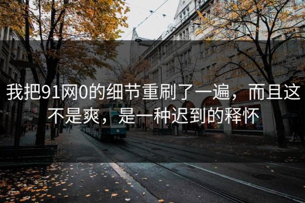 我把91网0的细节重刷了一遍，而且这不是爽，是一种迟到的释怀