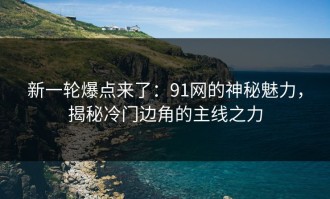 新一轮爆点来了：91网的神秘魅力，揭秘冷门边角的主线之力