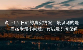 说下17c日韩的真实情况：最讽刺的是：看起来是小问题，背后是系统逻辑