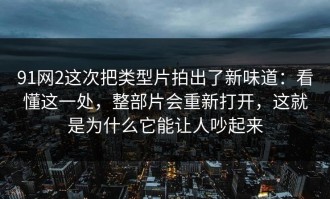 91网2这次把类型片拍出了新味道：看懂这一处，整部片会重新打开，这就是为什么它能让人吵起来