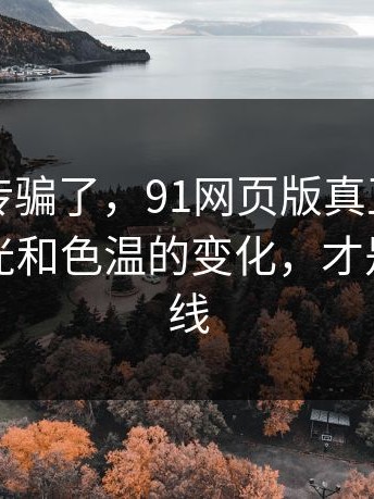 别被宣传骗了，91网页版真正想讲的是：灯光和色温的变化，才是情绪曲线