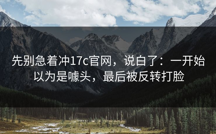 先别急着冲17c官网，说白了：一开始以为是噱头，最后被反转打脸