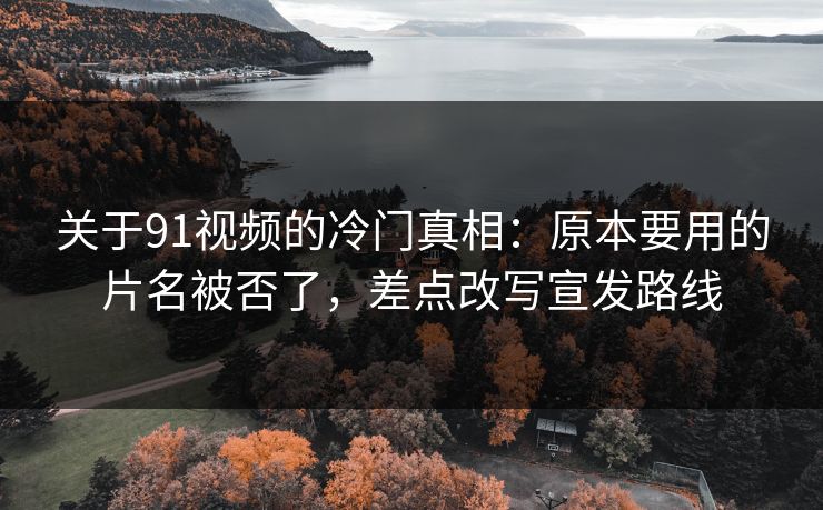关于91视频的冷门真相:原本要用的片名被否了,差点改写宣发路线 关于91视频的冷门真相:原本要用的片名被否了,差点改写宣发路线